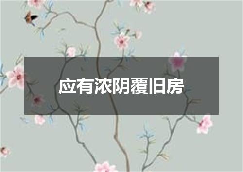 应有浓阴覆旧房