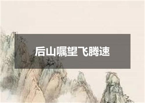 后山嘱望飞腾速