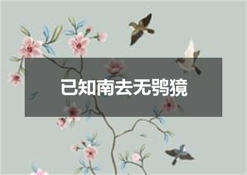 已知南去无鸮獍