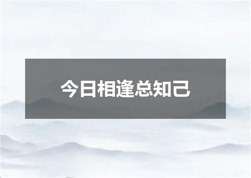 今日相逢总知己