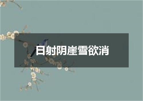 日射阴崖雪欲消