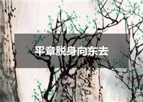 平章脱身向东去