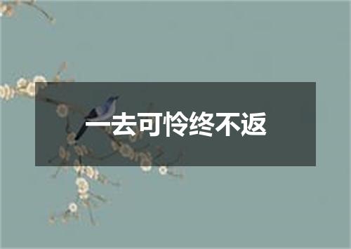 一去可怜终不返