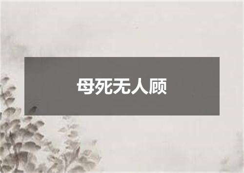 母死无人顾