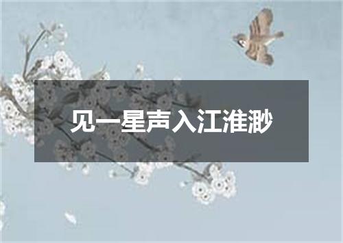 见一星声入江淮渺