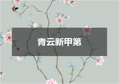 青云新甲第