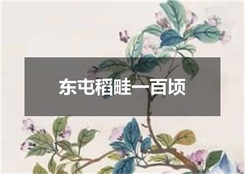 东屯稻畦一百顷