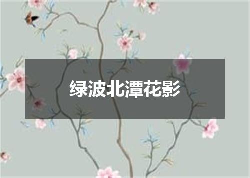 绿波北潭花影