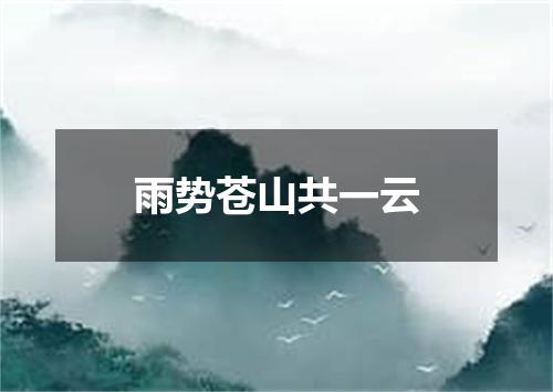 雨势苍山共一云