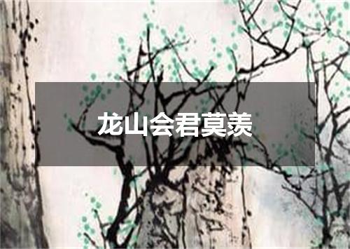 龙山会君莫羡