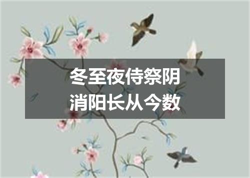 冬至夜侍祭阴消阳长从今数