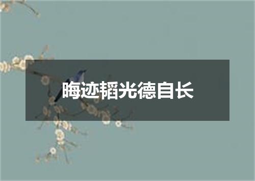 晦迹韬光德自长