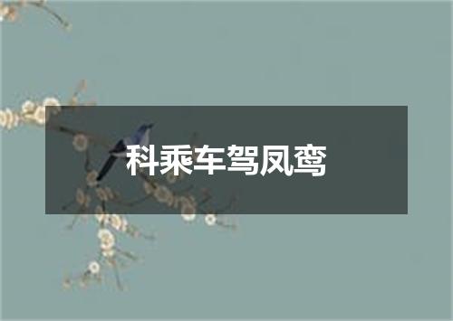 科乘车驾凤鸾