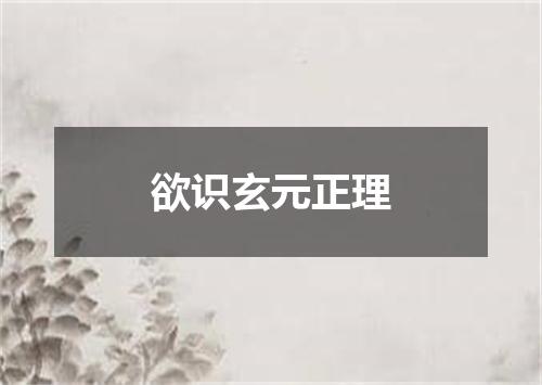 欲识玄元正理