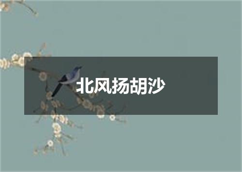 北风扬胡沙