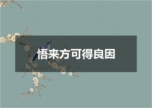 悟来方可得良因