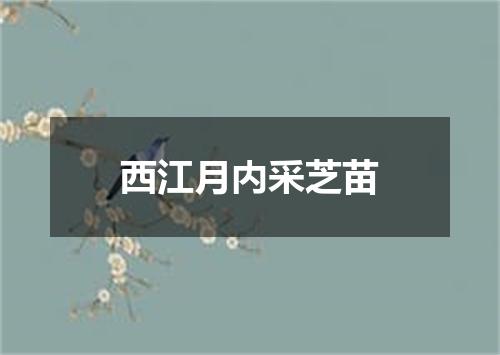 西江月内采芝苗