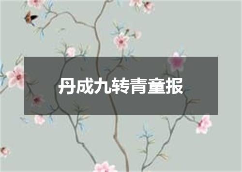 丹成九转青童报