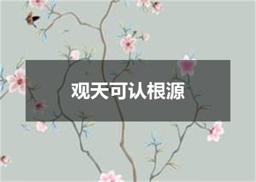 观天可认根源