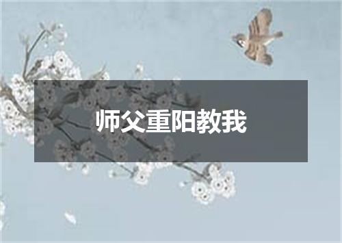 师父重阳教我