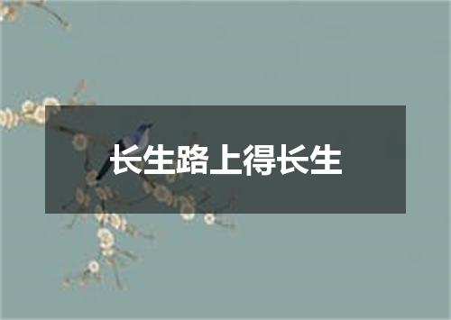 长生路上得长生