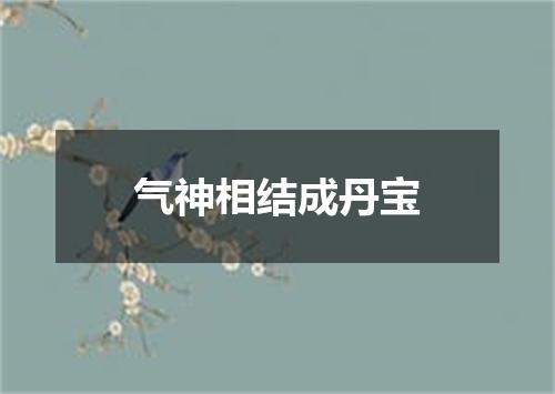 气神相结成丹宝