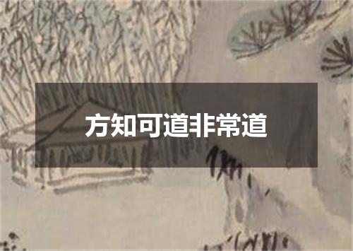 方知可道非常道