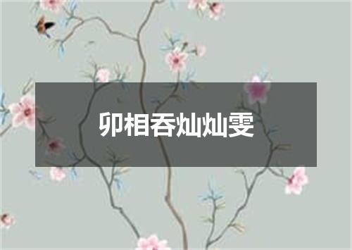 卯相吞灿灿雯