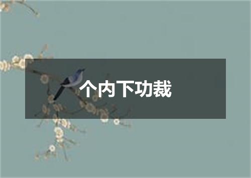 个内下功裁