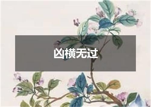 凶横无过