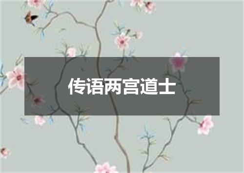 传语两宫道士