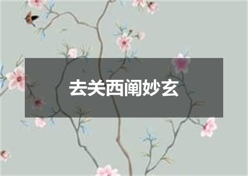 去关西阐妙玄