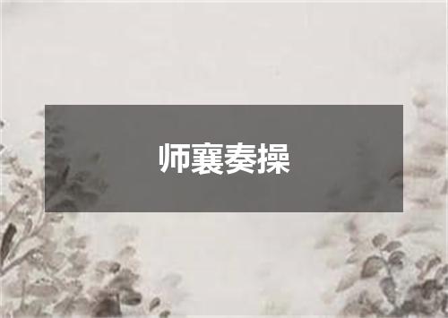 师襄奏操