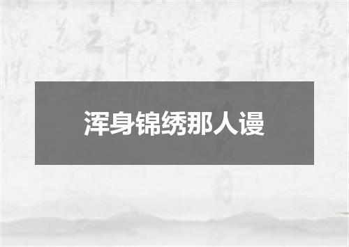 浑身锦绣那人谩