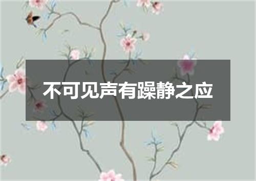 不可见声有躁静之应