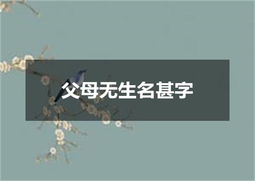 父母无生名甚字