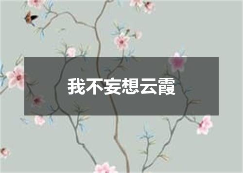 我不妄想云霞