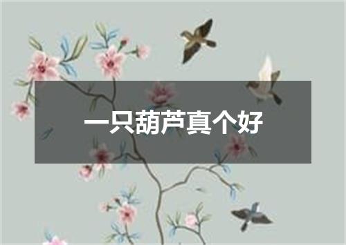 一只葫芦真个好