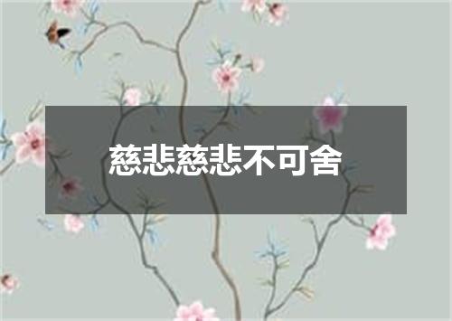 慈悲慈悲不可舍