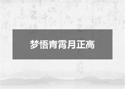 梦悟青霄月正高