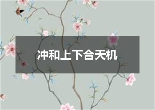 冲和上下合天机