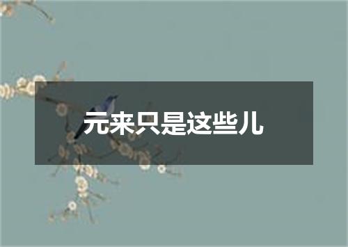 元来只是这些儿