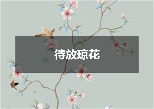 待放琼花