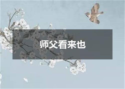 师父看来也