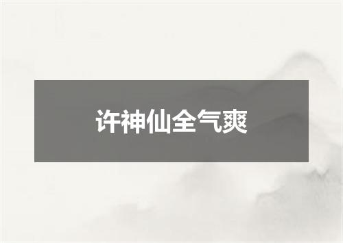 许神仙全气爽