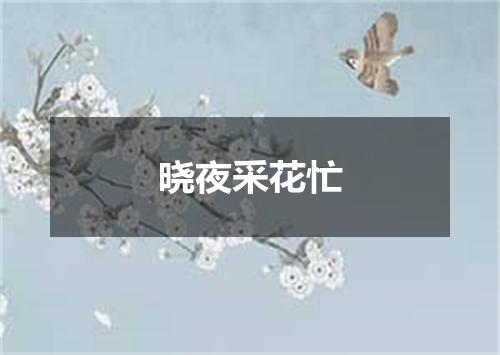 晓夜采花忙