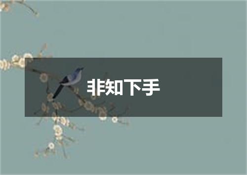 非知下手