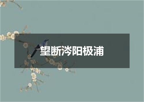 望断涔阳极浦