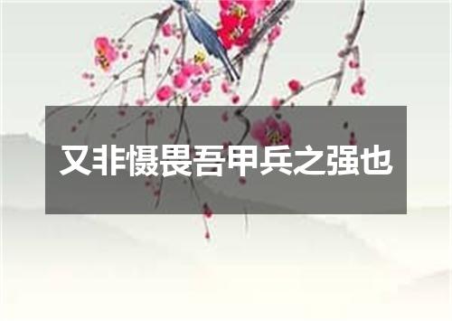 又非慑畏吾甲兵之强也