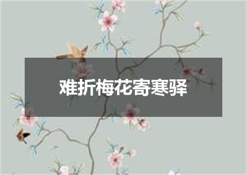 难折梅花寄寒驿